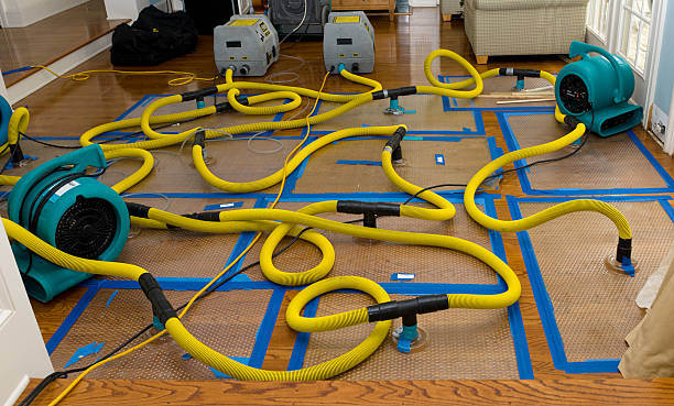 Professional Storm Water Damage Restoration technician working in Hanover, MA